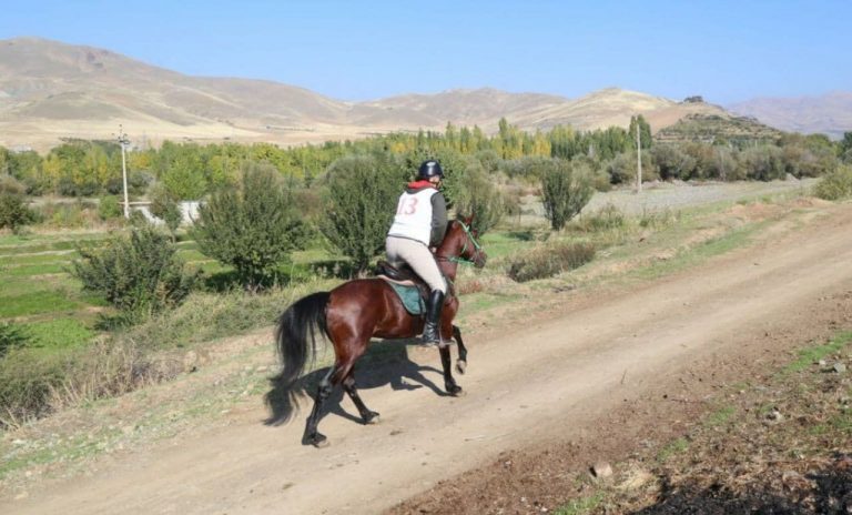 برگزاری رقابت های اسب سواری استقامت ملی و قهرمانی لیگ کشور به میزبانی سنندج