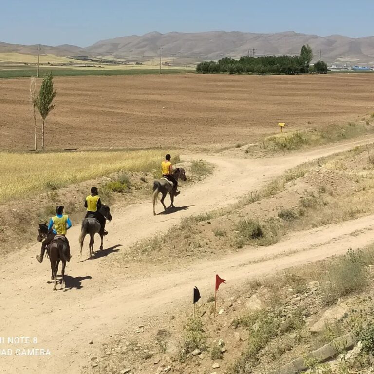 کمیسیون های غیر قانونی فدراسیون سوارکاری