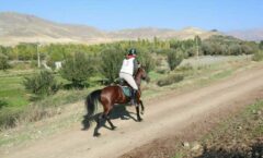 ورزش سوارکاری کردستان می تواند سر آمد باشد
