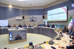 ورزشکاران کردستانی با کسب مدال های مختلف در ورزش های آبی توانایی خود را اثبات کردند