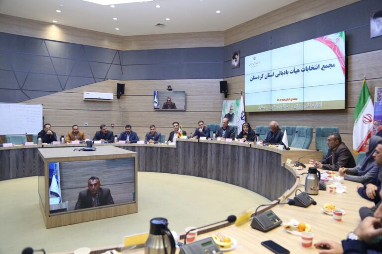 ورزشکاران کردستانی با کسب مدال های مختلف در ورزش های آبی توانایی خود را اثبات کردند