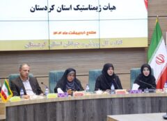  ژیمناستیک کردستان در کشور سرآمد است